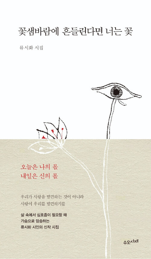 꽃샘바람에 흔들린다면 너는 꽃 : [큰글자도서] 류시화 시집