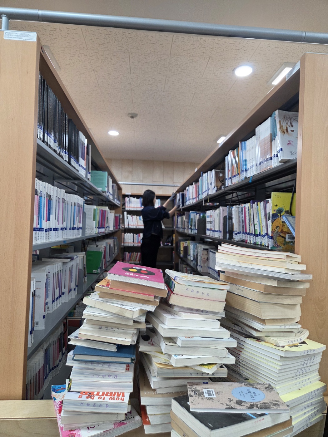 [현장지원] 병곡중학교