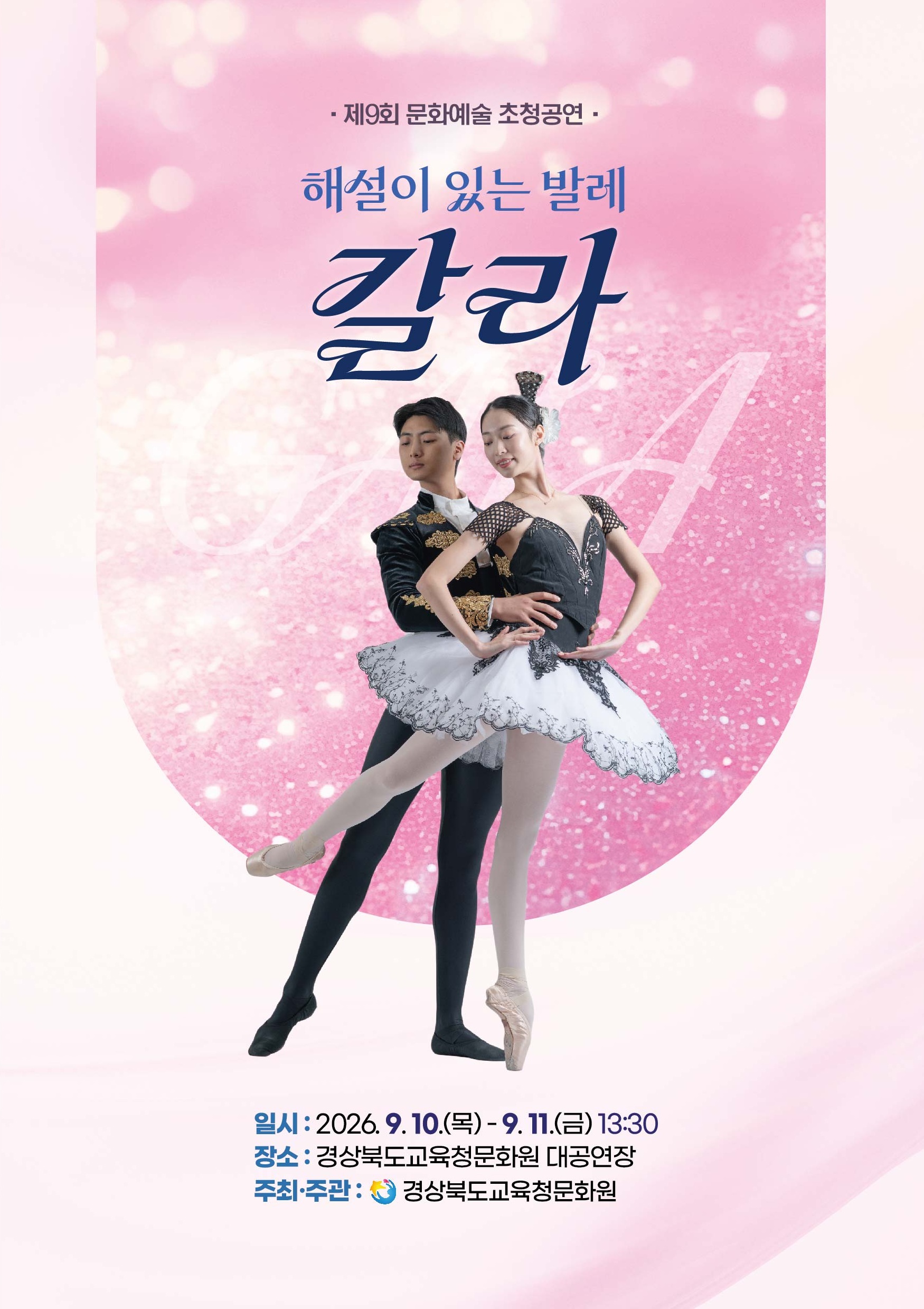 해설이 있는 발레, 갈라 이미지
