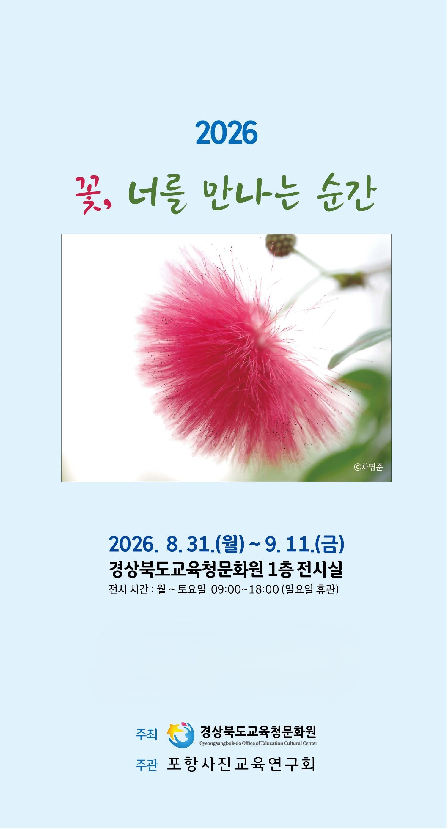 꽃, 너를 만나는 순간 이미지